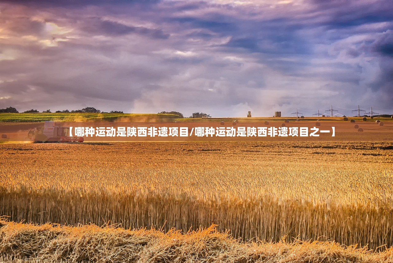 【哪种运动是陕西非遗项目/哪种运动是陕西非遗项目之一】