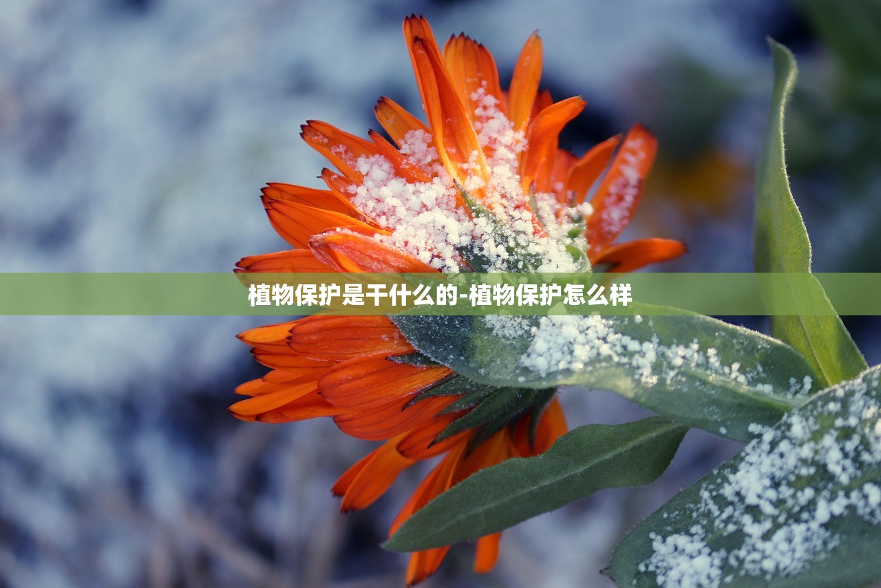 植物保护是干什么的-植物保护怎么样