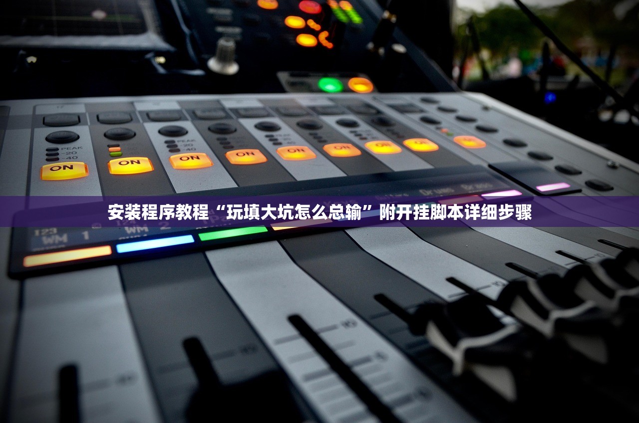 安装程序教程“玩填大坑怎么总输”附开挂脚本详细步骤