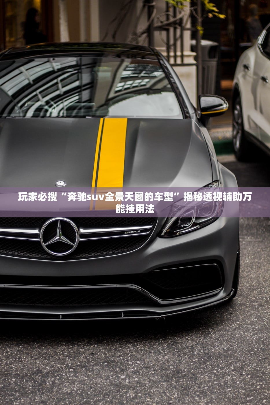 玩家必搜“奔驰suv全景天窗的车型”揭秘透视辅助万能挂用法
