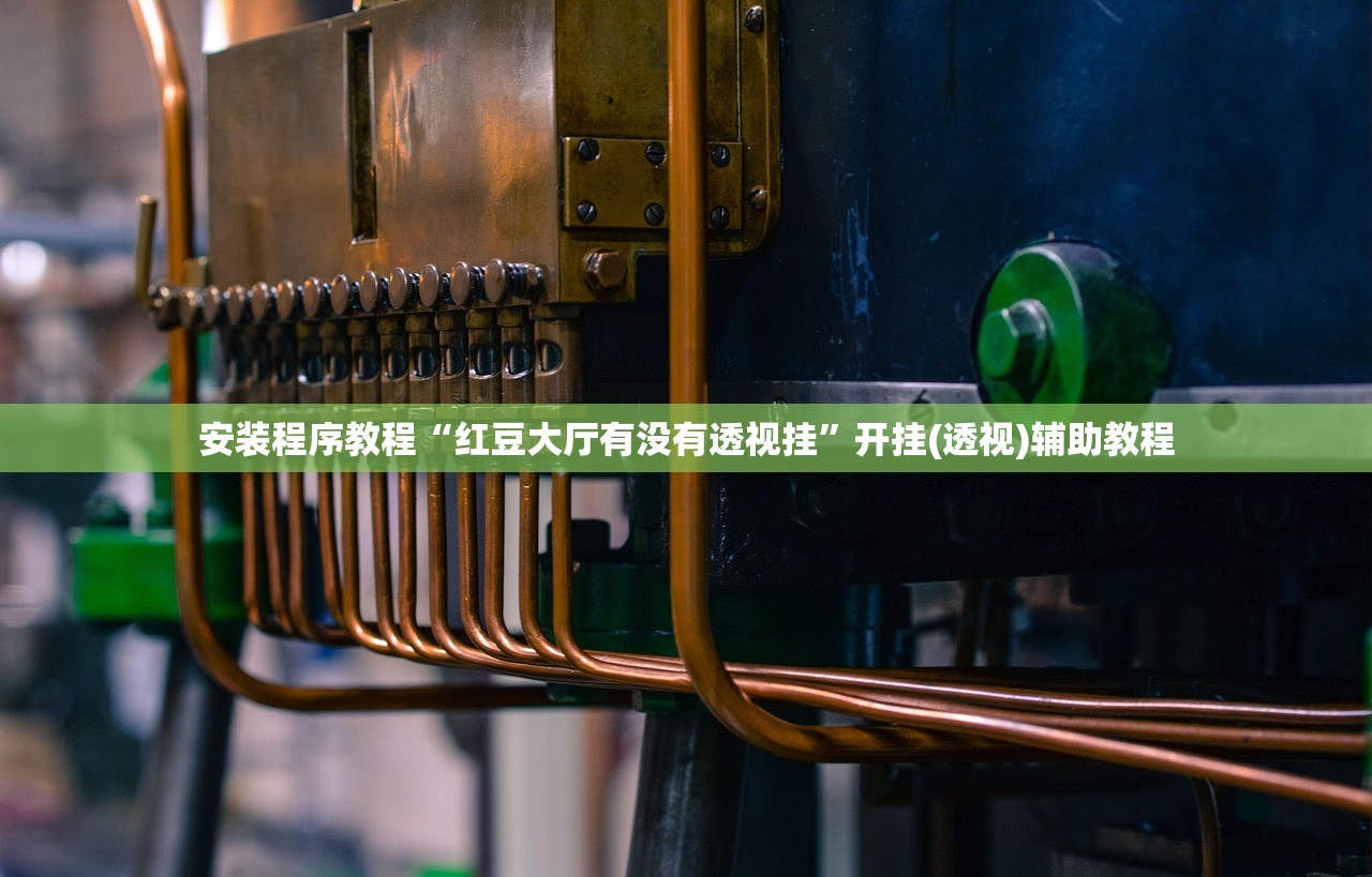 安装程序教程“红豆大厅有没有透视挂”开挂(透视)辅助教程