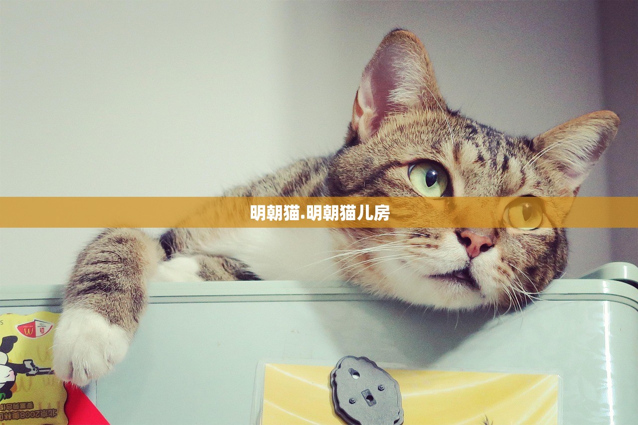 明朝猫.明朝猫儿房