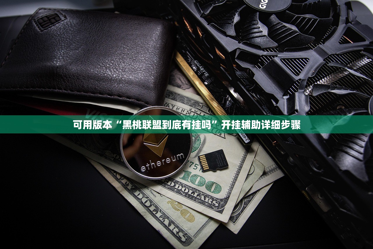 可用版本“黑桃联盟到底有挂吗”开挂辅助详细步骤