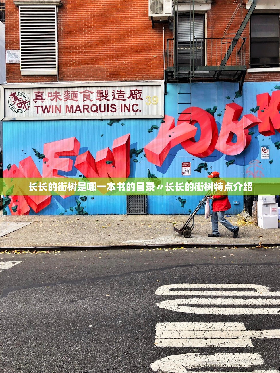 长长的街树是哪一本书的目录〃长长的街树特点介绍 长长的街树是哪一本书的目录〃长长的街树特点介绍