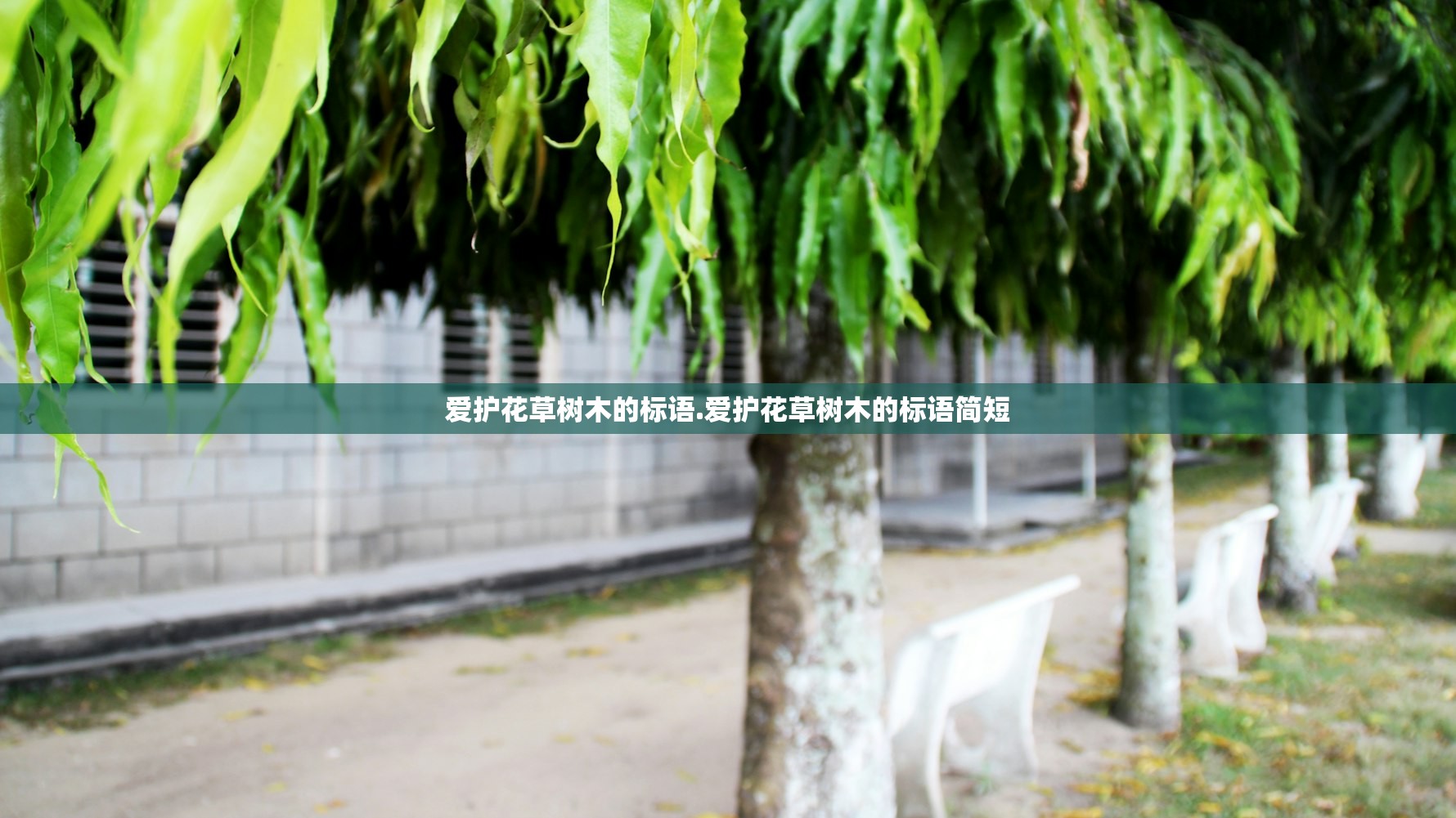 爱护花草树木的标语.爱护花草树木的标语简短