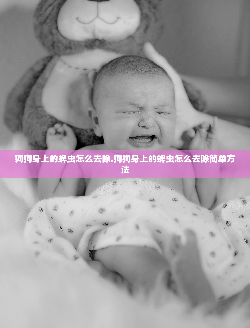 狗狗身上的蜱虫怎么去除.狗狗身上的蜱虫怎么去除简单方法