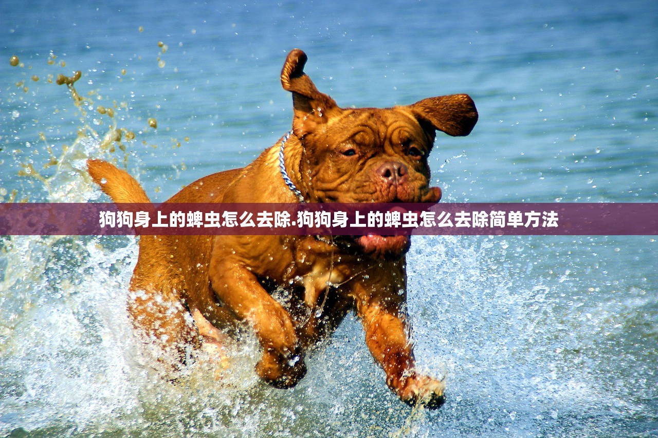 狗狗身上的蜱虫怎么去除.狗狗身上的蜱虫怎么去除简单方法