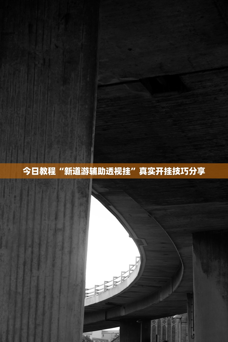 今日教程“新道游辅助透视挂”真实开挂技巧分享