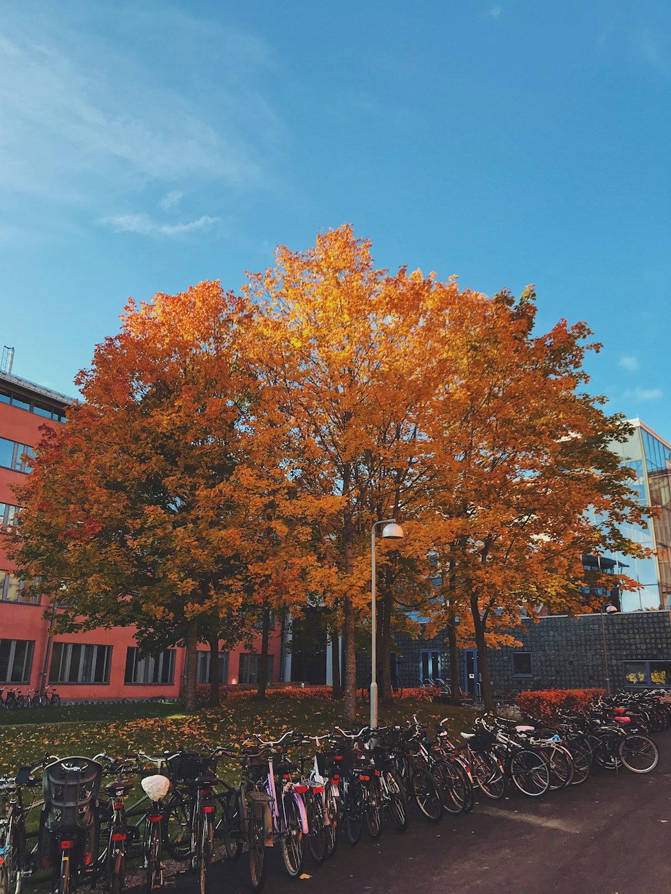 “南充的新大学	” 南充的新大学在哪里？
