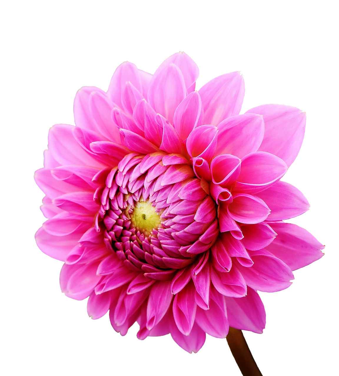 四川话花是什么意思.四川话花是什么意思怎么说