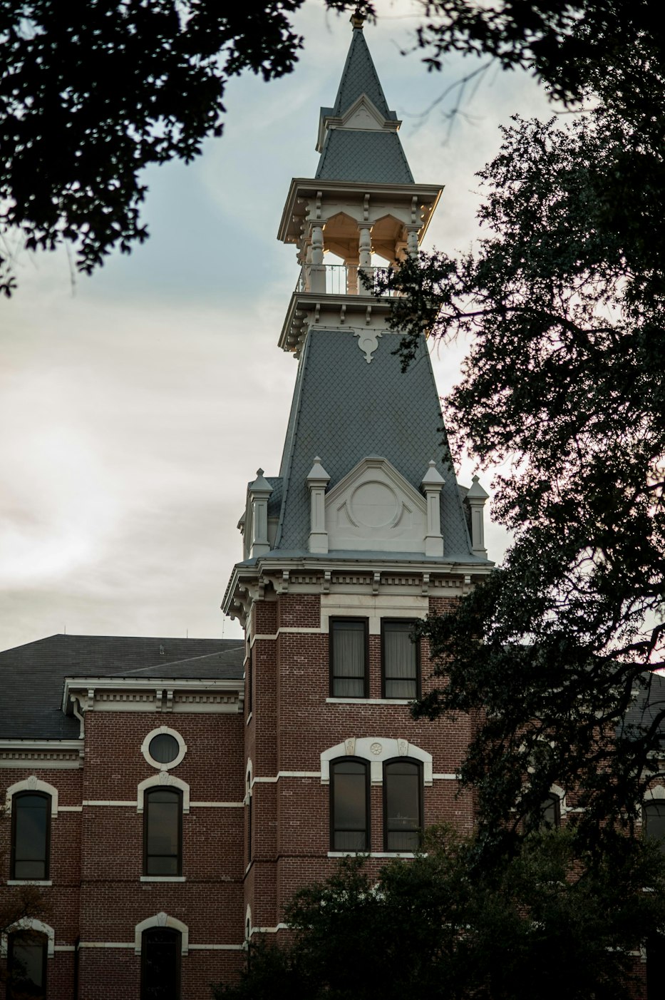 美国东南的大学,美国带南的大学